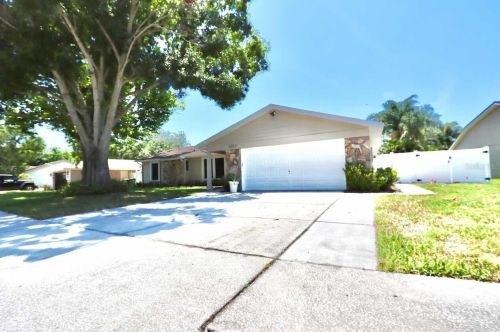 507 Hammock Dr, Palm Harbor, FL 34683-6114