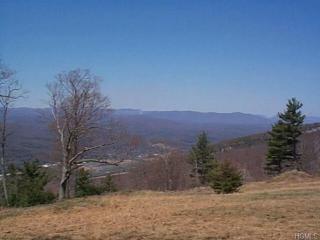 49 Mountainview Rd, Ellenville, NY 12428-5015