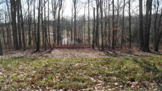 6288 Outlook Trl, Russellville TN  37860-3806 exterior