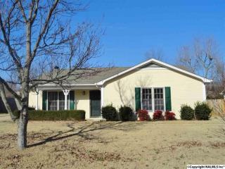 116 Portal Ln, Madison AL  35758-1991 exterior