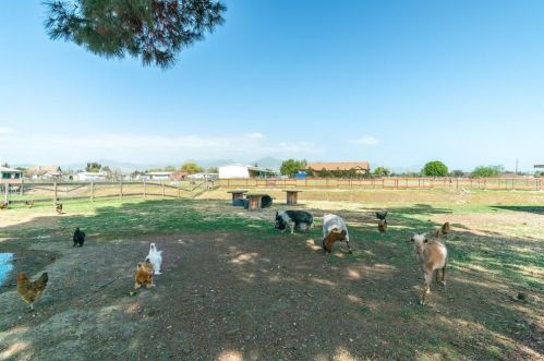 105 Daffodil Dr, Hollister CA  95023-3103 exterior