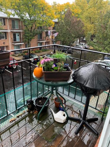 34 John St, Bloomfield NJ  07003-5146 exterior