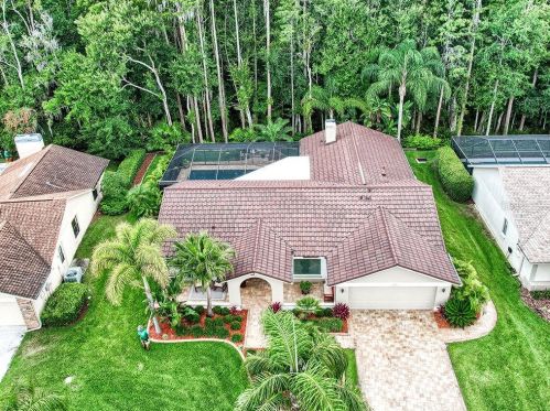 3226 Glenridge Dr, Palm Harbor, FL 34685-1725