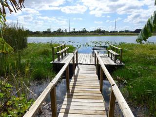 14424 Lake Junietta Dr, Tavares, FL 32778-5201