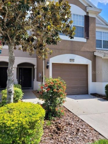 10205 Pink Palmata Ct, Riverview, FL 33578-3627
