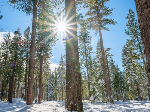516 Emerald Bay Rd, South Lake Tahoe CA  96150-6361 exterior