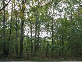 102 Middle Line Hwy, South Hampton, NY 11968-1615