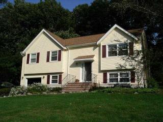 31 Castlewood Trl, Sparta NJ  07871-3701 exterior