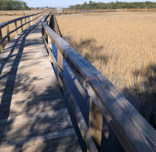 116 Slipper Shell Ct, Mount Pleasant SC  29464-6724 exterior