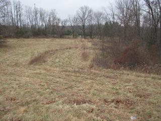10100 Honda Hills Rd, Thornville, OH