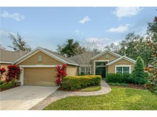 15725 Starling Dale Ln, Lithia, FL 33547-3920