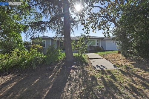 19561 Alana Rd, Hayward, CA 94546-3501