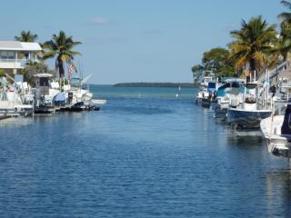 103 Fairwich Ct, Plantation Key FL  33070-2808 exterior