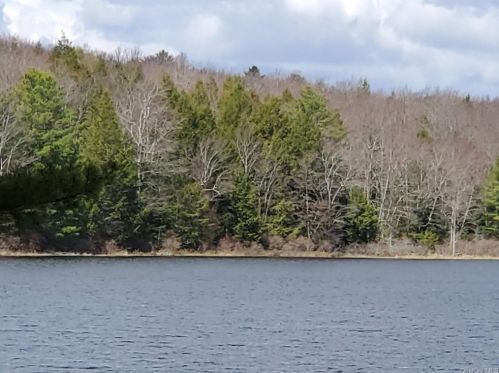 32 Hemlock Dr, Monticello NY  12701-4342 exterior