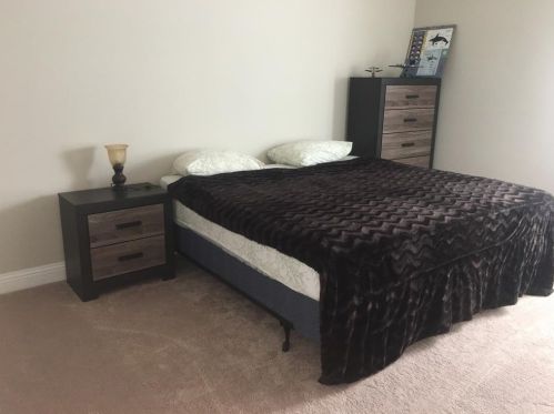 3445 Palm Lake Dr, Oak Point TX  75068 exterior