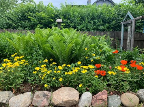 127 14th Ave, Saint Cloud MN  56301-4149 exterior