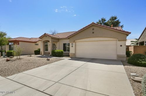 14321 Domingo Ln, Sun City, AZ 85375-2856