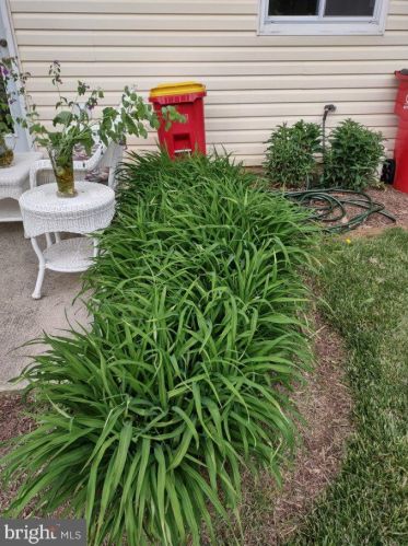 131 Baltusrol Dr, Charles Town WV  25414-4085 exterior