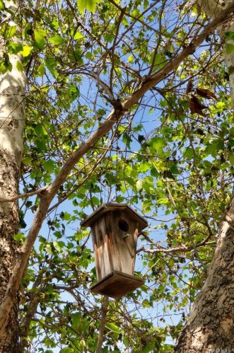 13141 Lewis St, Garden Grove CA  92843-2227 exterior