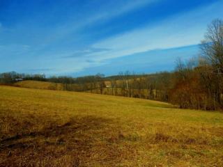4495 Philipps Rd, Granville, OH 43023-9710