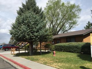 550 12th St, Elko, NV 89801-4041