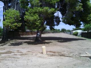 204 7th St, Buckeye, AZ 85326-2912