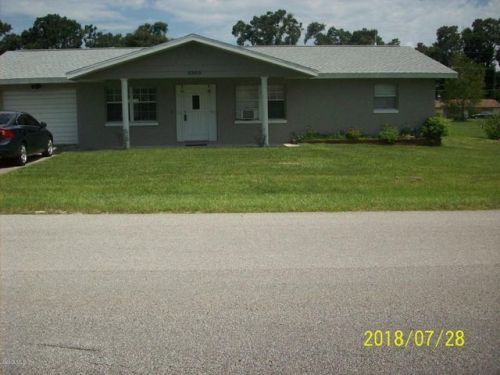 5203 106th St, Belleview, FL 34420-3136