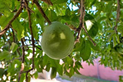 12581 Volkwood St, Garden Grove CA  92840-5930 exterior