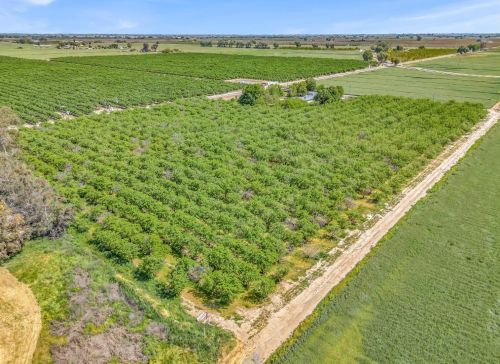 855 Mount Whitney Ave, Laton CA  93242-9724 exterior