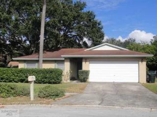 1300 Amberlea Ct, Dunedin, FL 34698-4709
