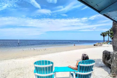 3719 Floramar Ter, New Port Richey FL  34652-3100 exterior