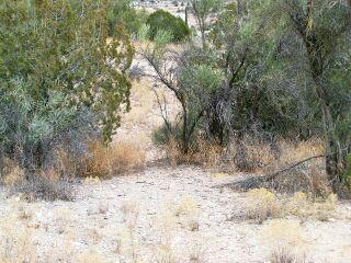 4455 Lazy Lariat Ln, Mcguireville, AZ