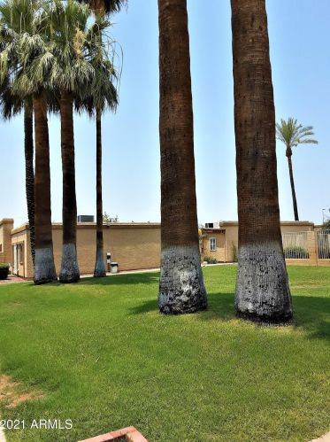 4752 14th St, Phoenix AZ  85014-3798 exterior