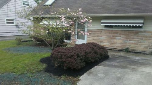 223 Jacobs Rd, Hubbard, OH 44425-1942