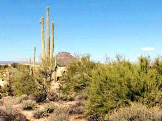 10687 Cinder Cone Trl, Scottsdale, AZ 85262-4503