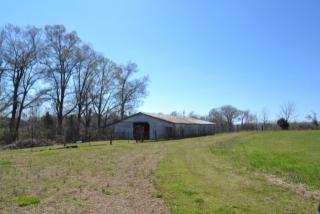 10 Thedford Rd, Bradford, TN 38316-8793