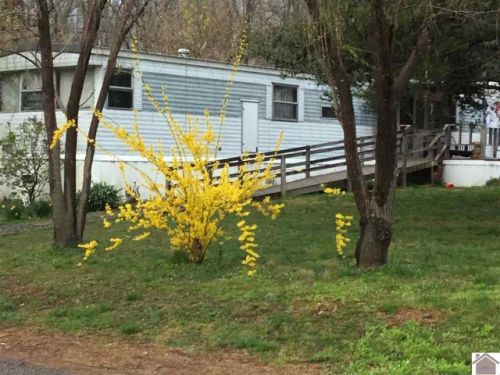 136 Blue Spruce Ln, Golden Pond, KY 42211-8080