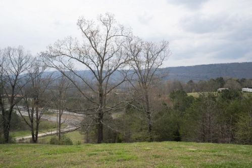 11824 Rhea County Hwy, Dayton, TN