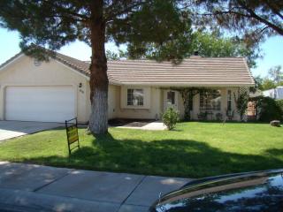 163 Blackfoot St, Mesquite, NV 89027-6219