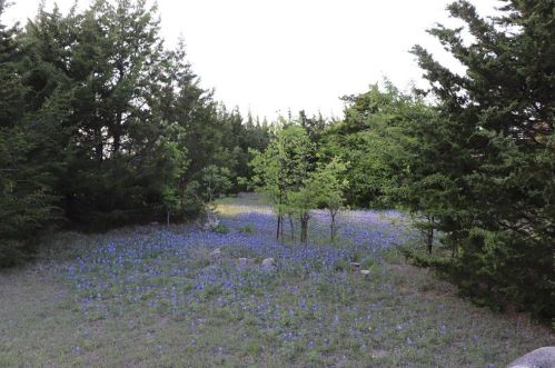 1511 Walnut Grv Rd, Midlothian TX  76065-4749 exterior