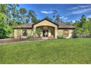 13027 Roberts Island Rd, Orlando, FL 32832-6411