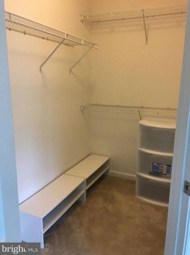 139 Old Cedarbrook Rd, Wyncote PA  19095-2038 exterior