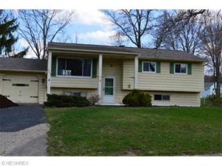 9381 Monticello Dr, Twinsburg, OH 44087-1524