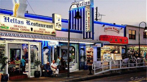 203 Palmetto Ct, Oldsmar FL  34677-2147 exterior