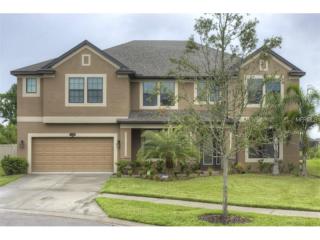 11603 Palmetto Pine St, Riverview FL  33569-6228 exterior