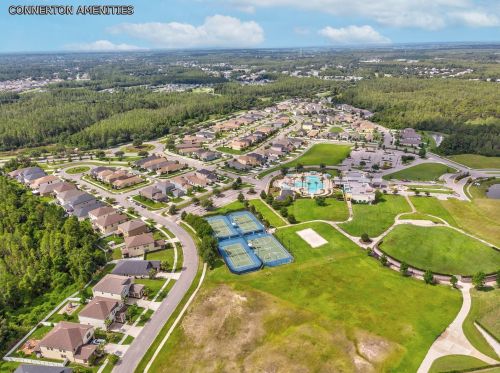 8239 Swiss Chard Cir, Land O Lakes FL  34637-7662 exterior