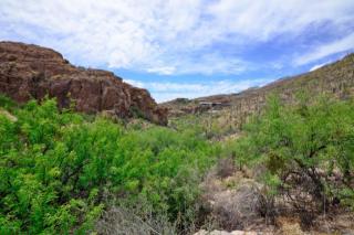 7161 Stone Canyon Dr, Tucson, AZ
