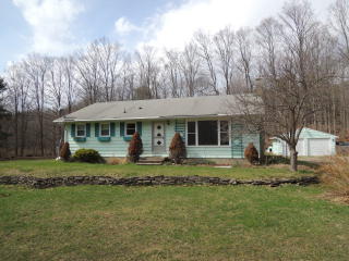 27 Rorick Hollow Rd, Lowman, NY 14861-8930