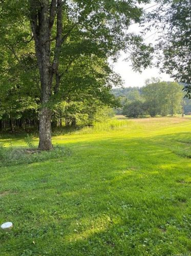 444 Debruce Rd, Lew Beach NY  12758-2025 exterior