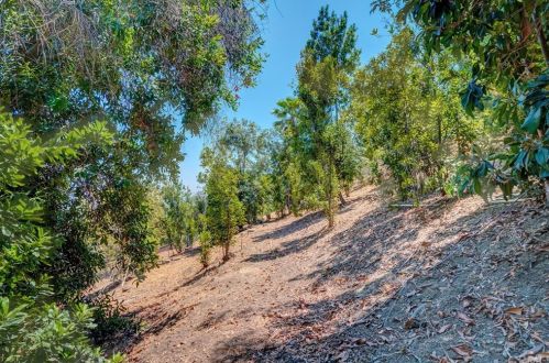 1050 Avocado Crst Rd, La Habra CA 90631-8108 exterior